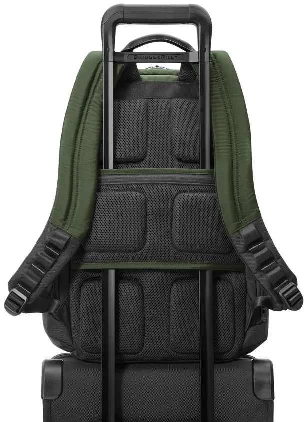 Briggs & Riley HTA Large Cargo Backpack 